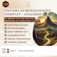 Formule : Univers Numérologique Complet + Tarôt du site Ninie Spirit